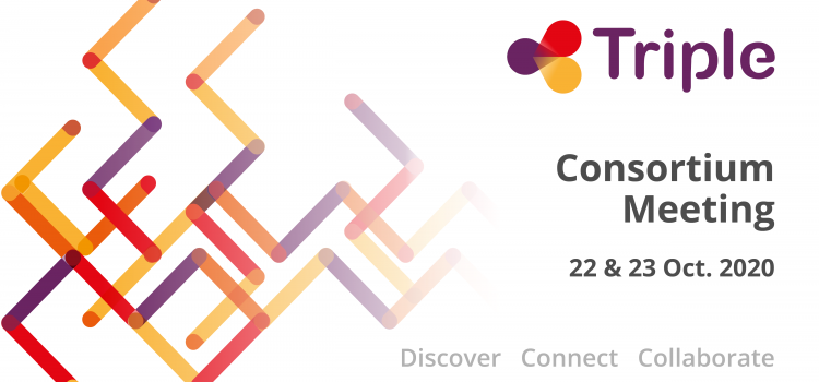 The 2nd TRIPLE Consortium Meeting: Virtual, Intense, Dynamic