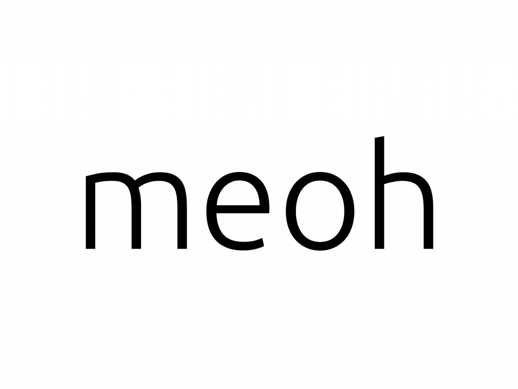 TRIPLE partner logo - MEOH